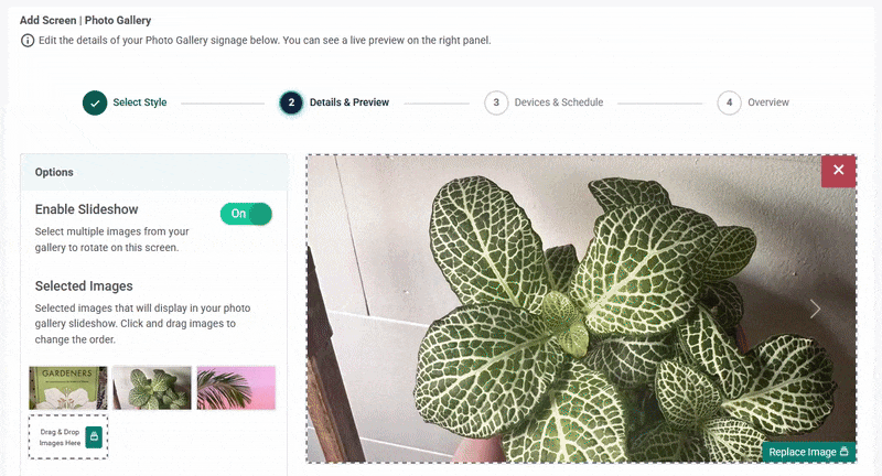 slideshow.gif